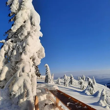 Maglic 412 Lux Apartamento